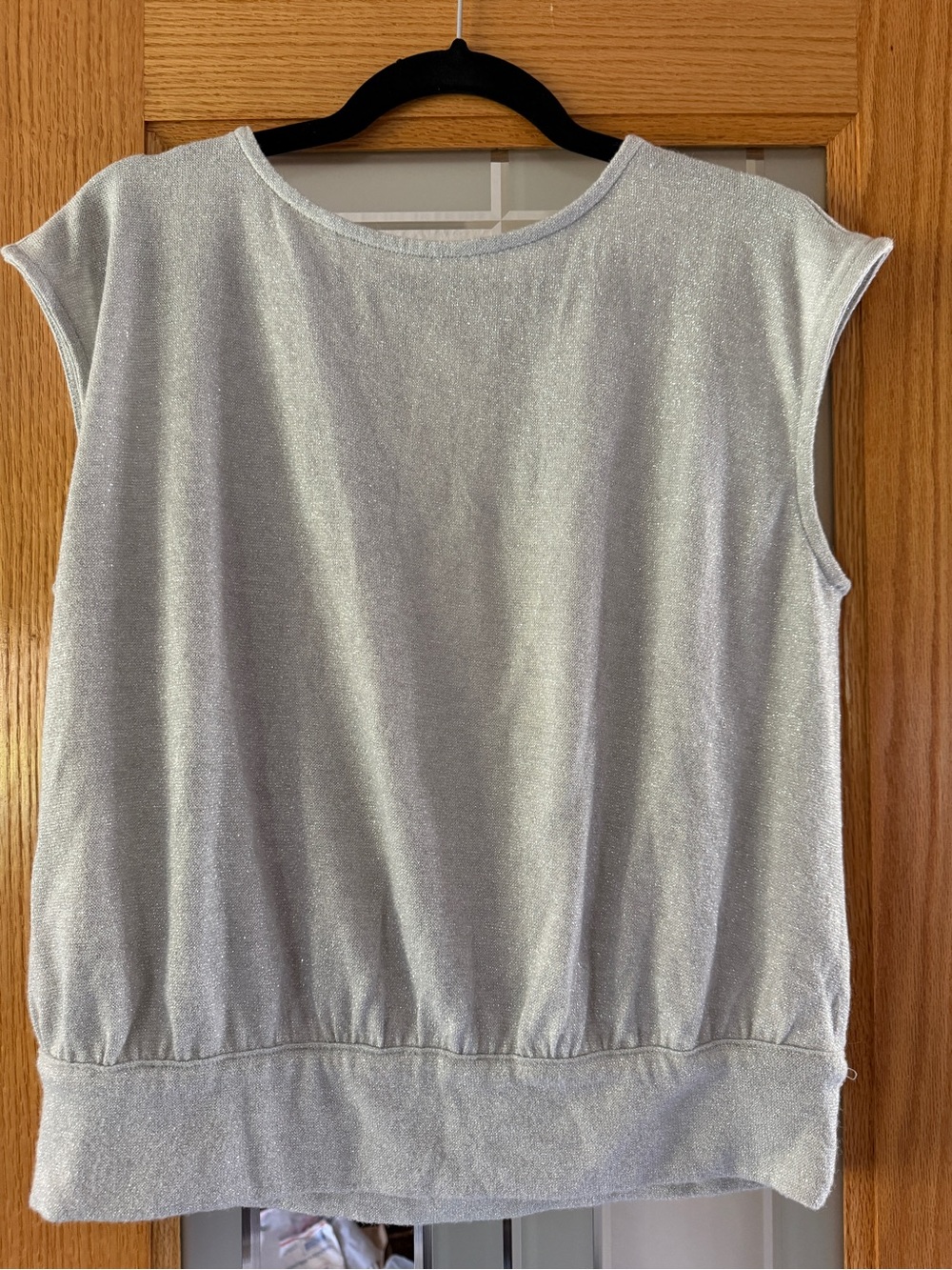 Banana Republic Silver Metallic Sleeveless Tank